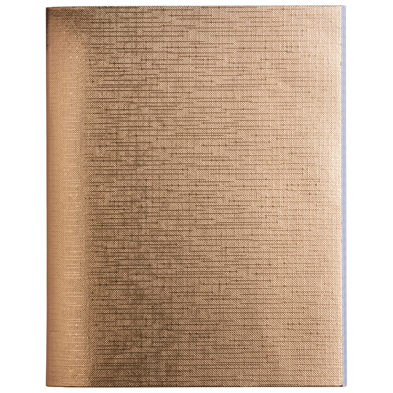 Изображение товара Бизнес-тетрадь Hatber Metallic А5 48 листов золотистая на скрепке