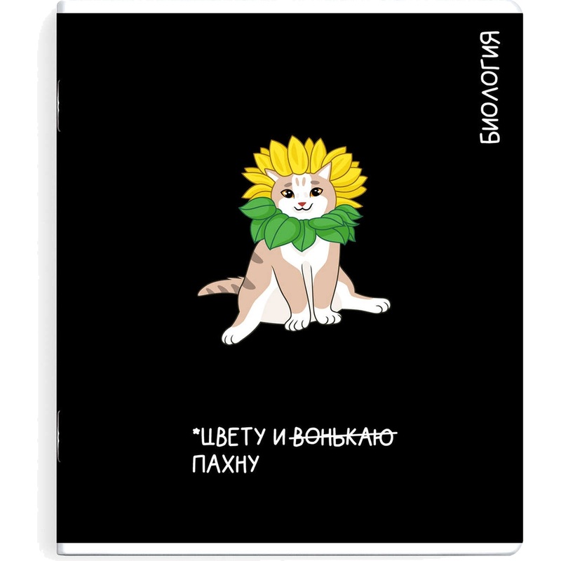 Изображение товара Тетрадь предметная по биологии Феникс+ Коты мемы А5+ 48 листов в клетку TWIN лак