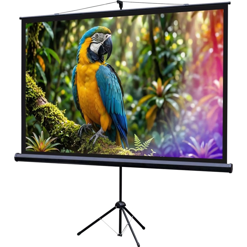 Изображение товара Экран для проектора Lumien Eco View 84 186x104 См Матовый белый натяжной Изображение товара Экран для проектора Lumien Eco View 84 186x104 См Матовый белый натяжной