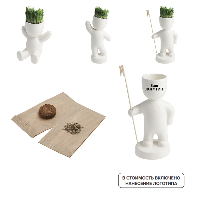 Изображение товара Подарочный набор для выращивания Funky с индивидуальной печатью