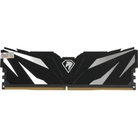 Модуль памяти Netac NTSWD5P48SP-16K DDR5 16 ГБ