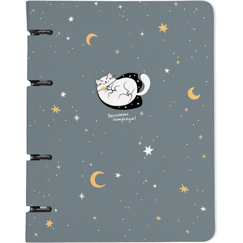 Изображение товара Тетрадь на кольцах со сменным блоком А5 120 листов с рисунком и перфорацией