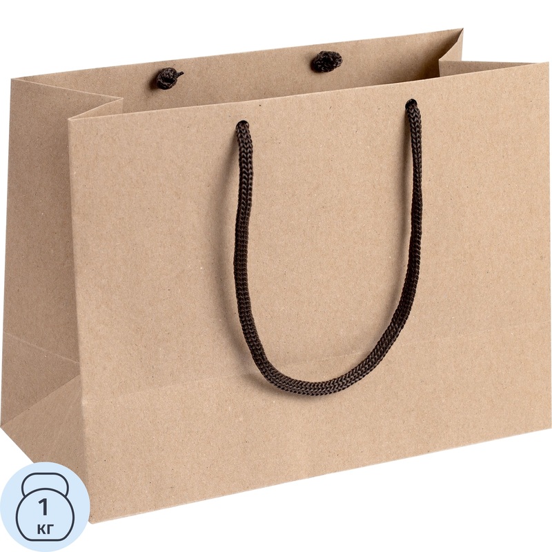 Изображение товара Подарочный пакет Проект 111 Крафт 17x23x10 см коричневый универсальный