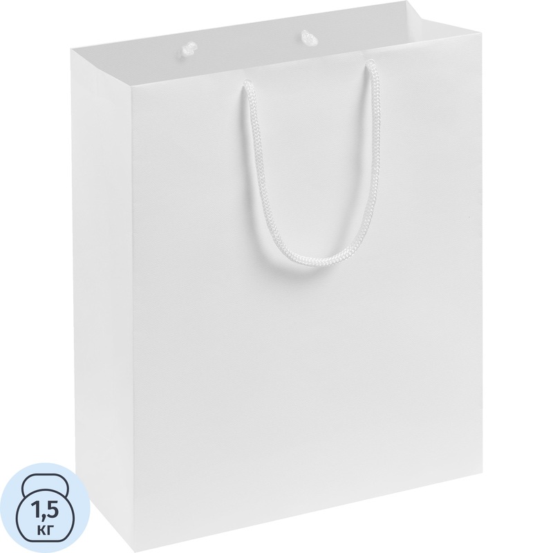 Изображение товара Пакет подарочный Проект 111 Wide (28x23x9.4 см, 74440.60)