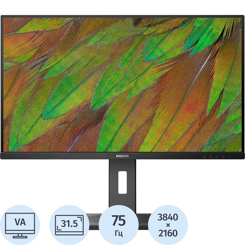 Изображение товара Монитор 31.5" Philips 32B1U3900 чёрный