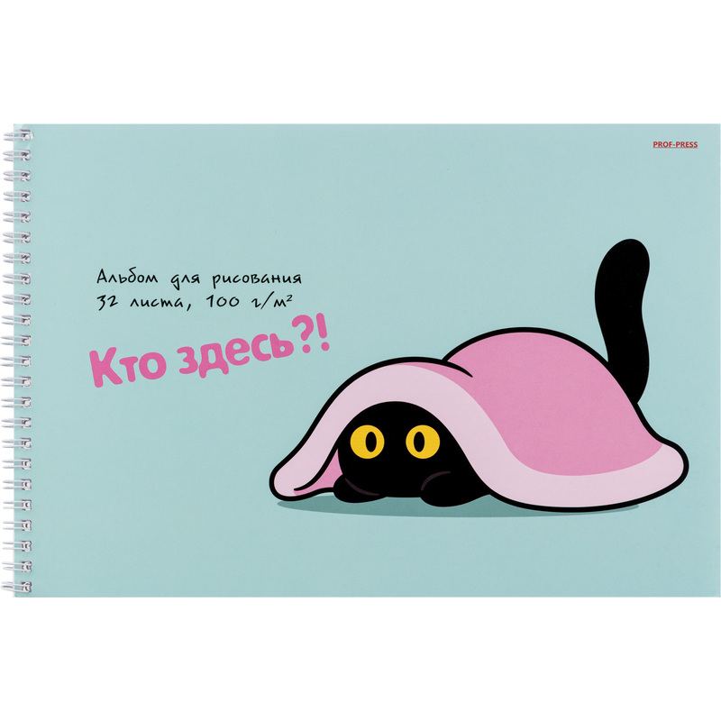 Изображение товара Альбом для рисования Проф-пресс Котик под пледом А4 32 листа