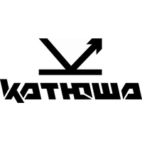 Опция SSD емкостью 256 Гб для МФУ Катюша M348 (НКМ348)