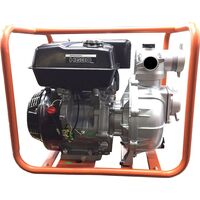Мотопомпа бензиновая Evoline HG 30 для чистой воды (1T90SHG30)