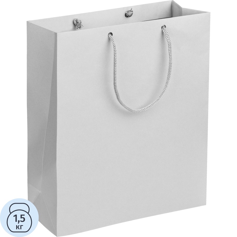 Изображение товара Пакет подарочный Проект 111 Wide 28x23x9.2 см серый