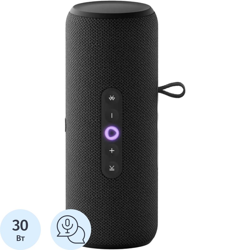 Изображение товара Умная колонка Яндекс Станция Стрит чёрная с голосовым управлением и водозащитой