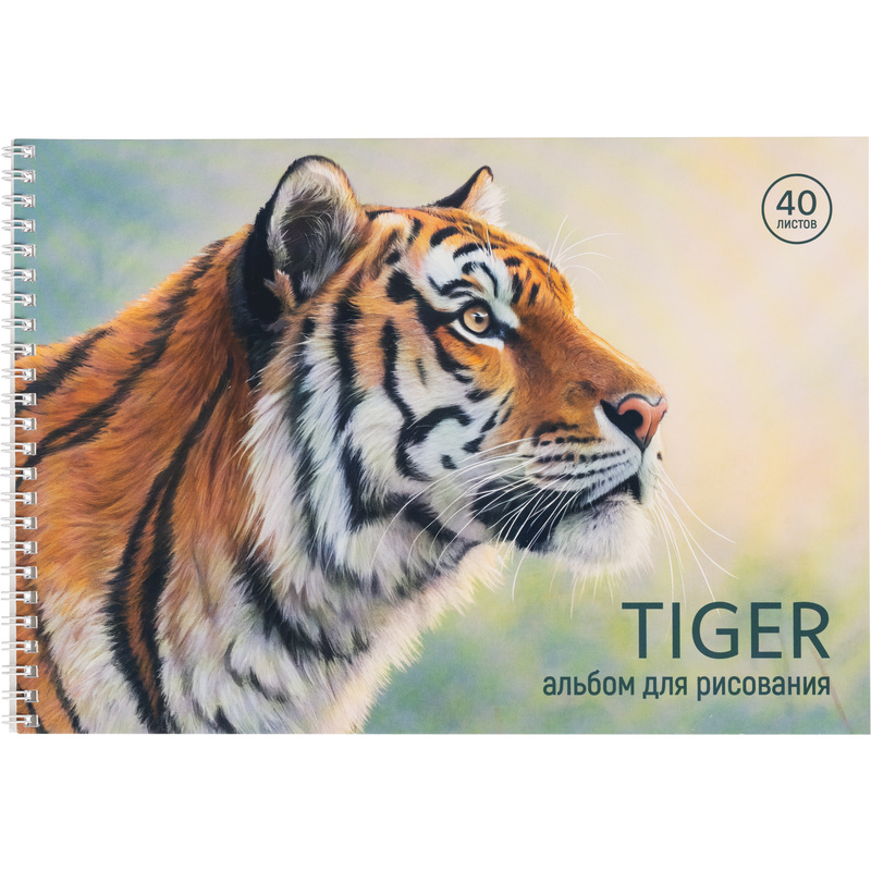 Изображение товара Альбом для рисования Комус Класс Сафари А4 40 листов (упаковка из 2 штук)