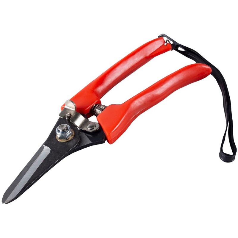 Изображение товара Секатор Feona 004-0828 170 мм с ремешком и двумя лезвиями из стали