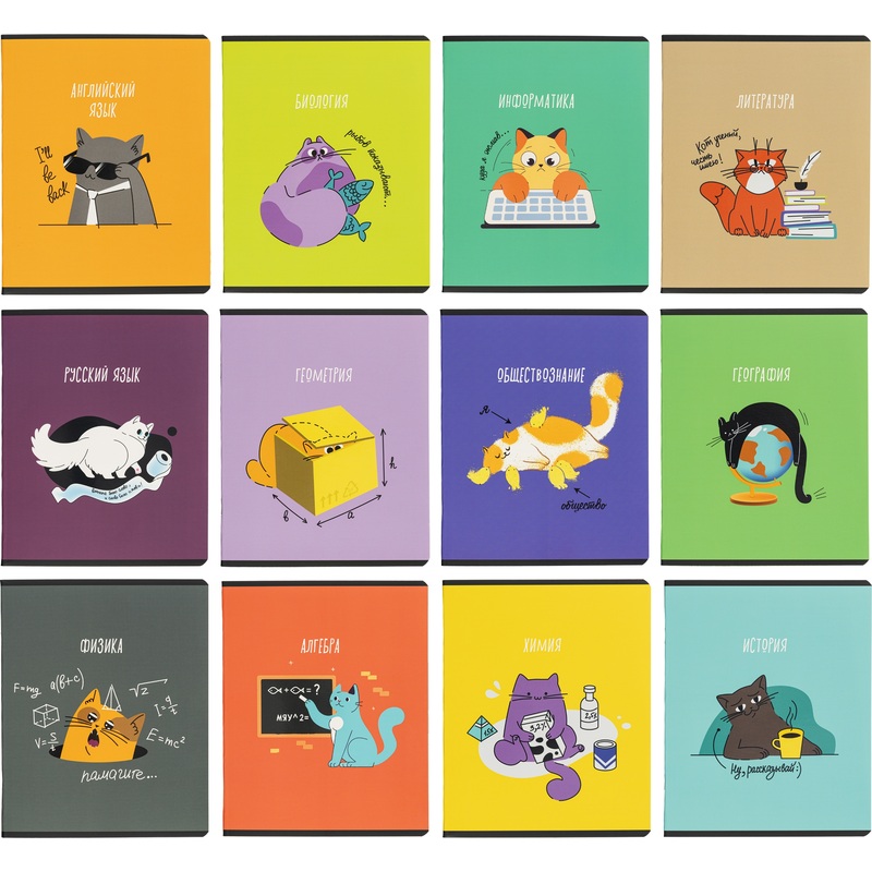 Изображение товара Набор предметных тетрадей Комус Класс Котики А5 48 листов 12 шт