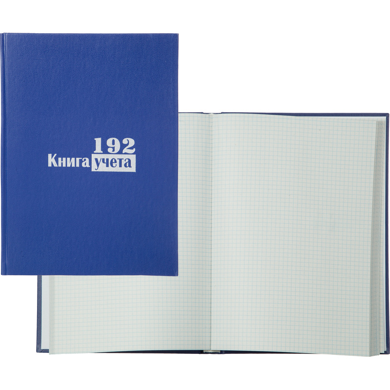 Изображение товара Книга учета 192 листа А4 в клетку блок типографская бумага Выбор есть (обложка из бумвинила)
