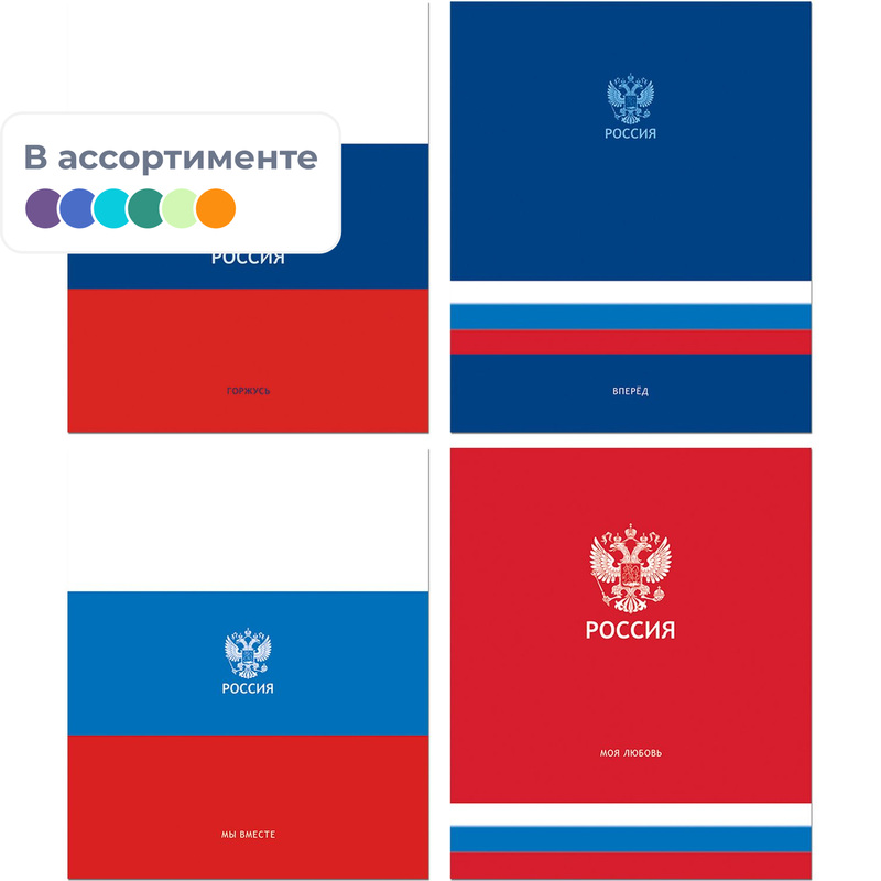 Изображение товара Тетрадь общая Полином Россия А5 48 листов в клетку на скрепках ВД-лак