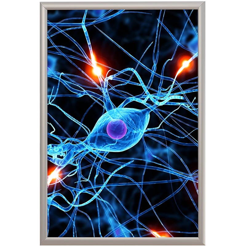 Изображение товара Панель световая ProMEGA Frame Led А2+ с алюминиевой клик-рамкой внутри помещения