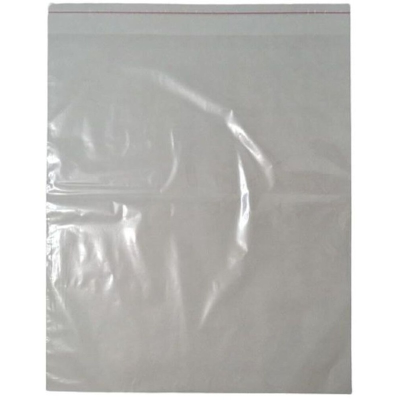 Изображение товара Пакеты ПП 50x60 см 20 мкм с клеевым клапаном 100 штук в упаковке