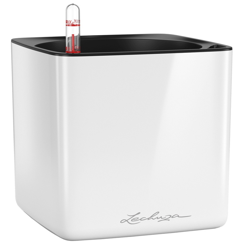 Изображение товара Кашпо с автополивом Lechuza Cube Glossy белое (17х17х16 см)