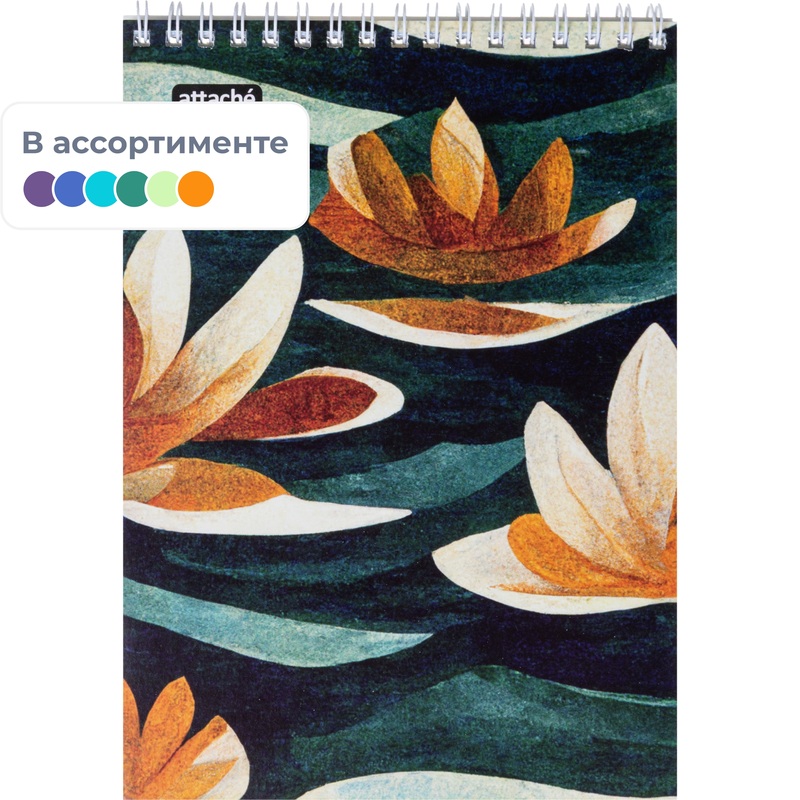 Изображение товара Блокнот Attache Bora А5 80 листов в клетку на спирали