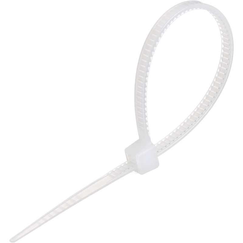 Изображение товара Стяжка (хомут) BigTech 100x2.5 мм белая 100 штук в упаковке (BT-CT-100-25-W)