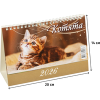 Календарь-домик настольный 2026 Котята 20x14 см (0926004)