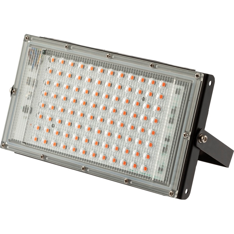 Изображение товара Фитопрожектор для растений Эра FITO-80W-RB-LED-Y красно-синий спектр 80 Вт