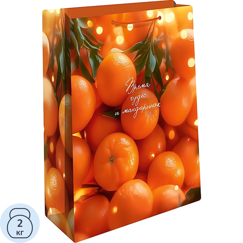 Изображение товара Сумка подарочная ламинированная Арт Дизайн Новый год (32х26х12 см, 193.588)