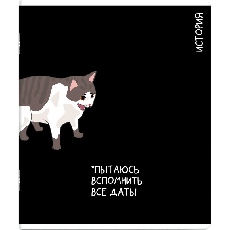 Изображение товара Тетрадь предметная по истории Феникс+ Коты мемы А5+ 48 листов в клетку TWIN лак