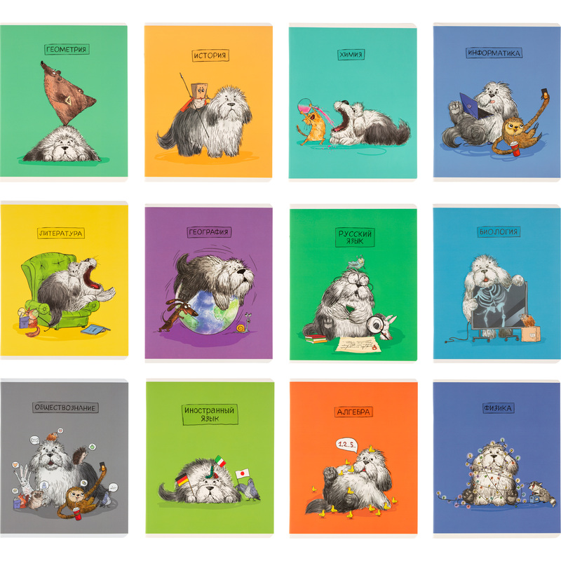 Изображение товара Предметная тетрадь Феникс+ А5+ 48 листов комбинированная Soft Touch