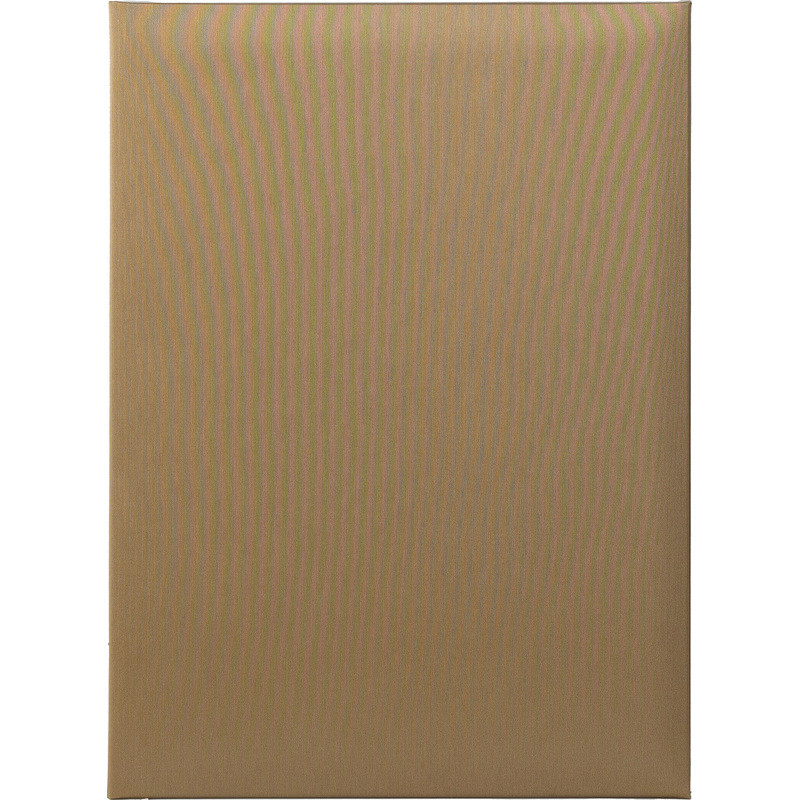 Изображение товара Адресная папка ТВЛ А4 золотистая из танго с вклейками из балакрона