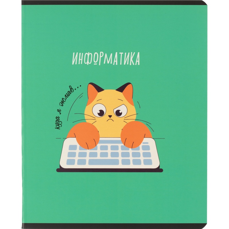 Изображение товара Тетрадь предметная по информатике Комус Класс Котики А5 48 листов в клетку, матовая ламинация, ВД-лак