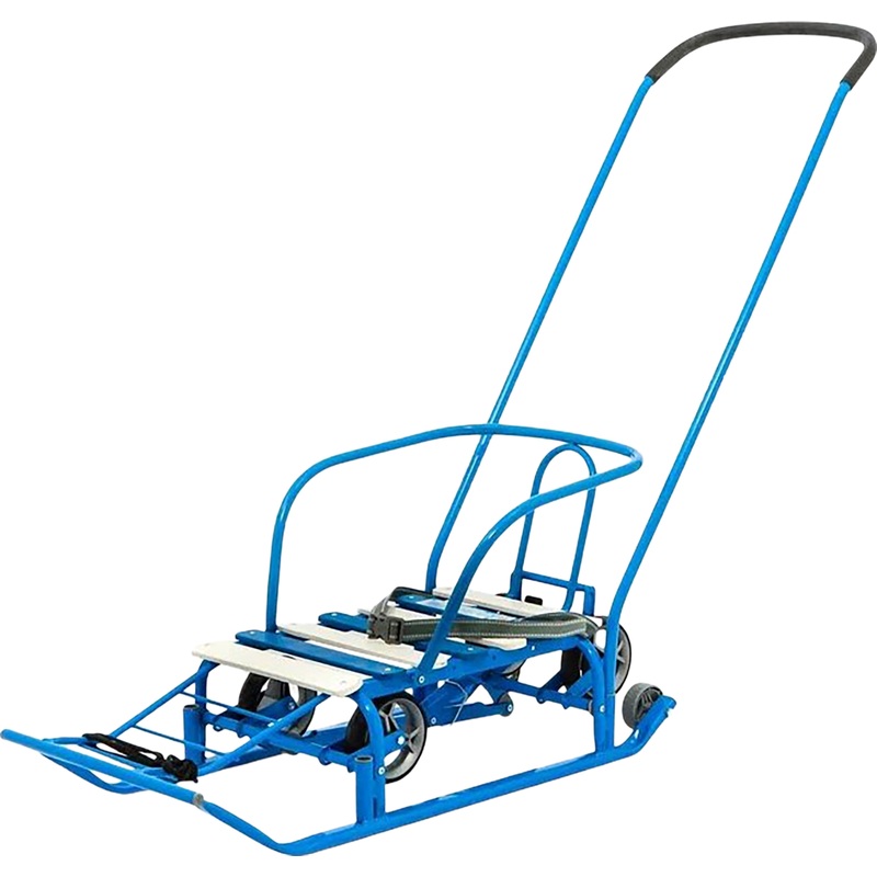 Изображение товара Санки детские Nika Тимка 5 Универсал + голубые