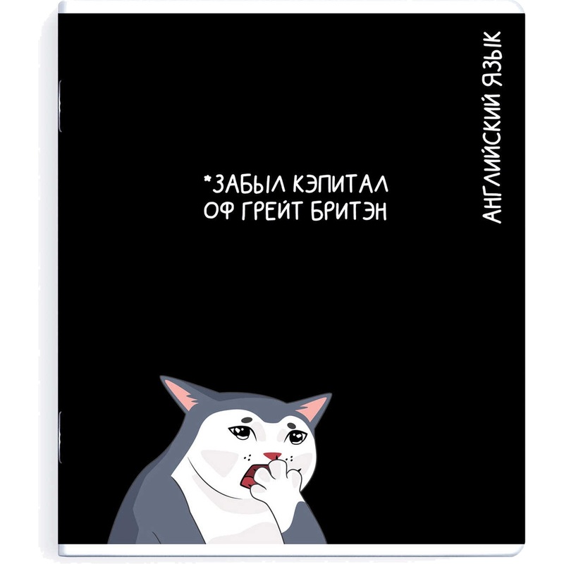 Изображение товара Тетрадь Феникс+ Коты мемы A5+ 48 листов в клетку TWIN лак
