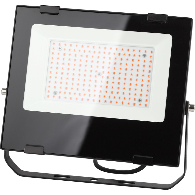 Изображение товара Фитопрожектор для растений Эра Fito-100W-RB-LED красно-синего спектра