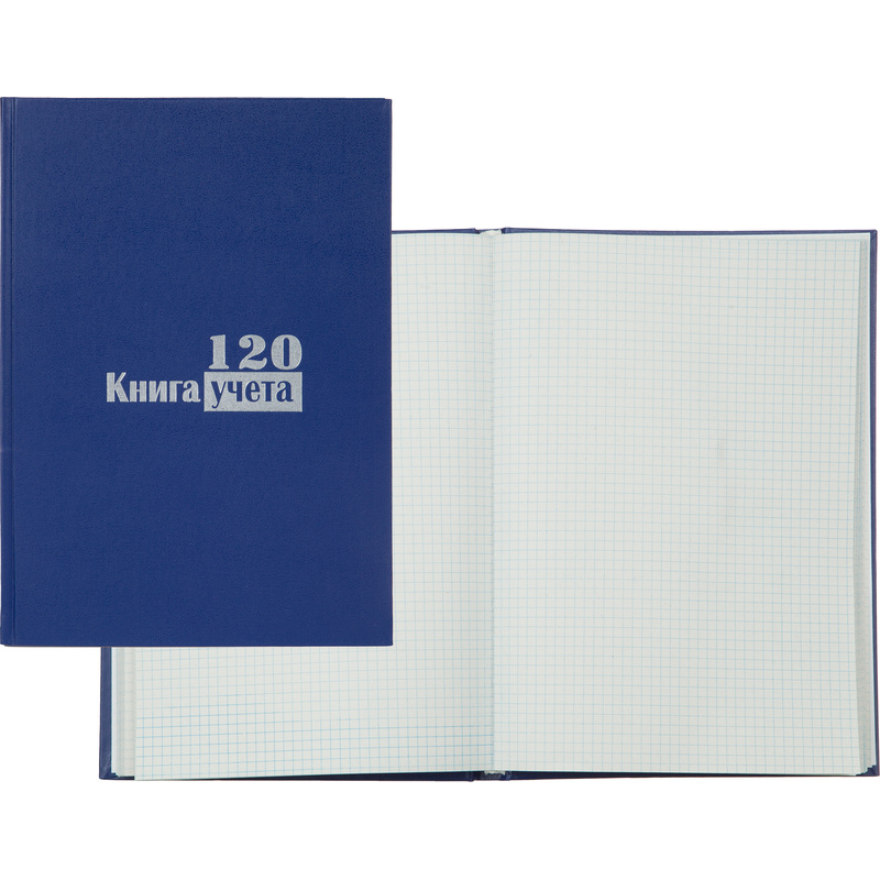 Изображение товара Книга учета 120 листов А4 в клетку - Выбор есть