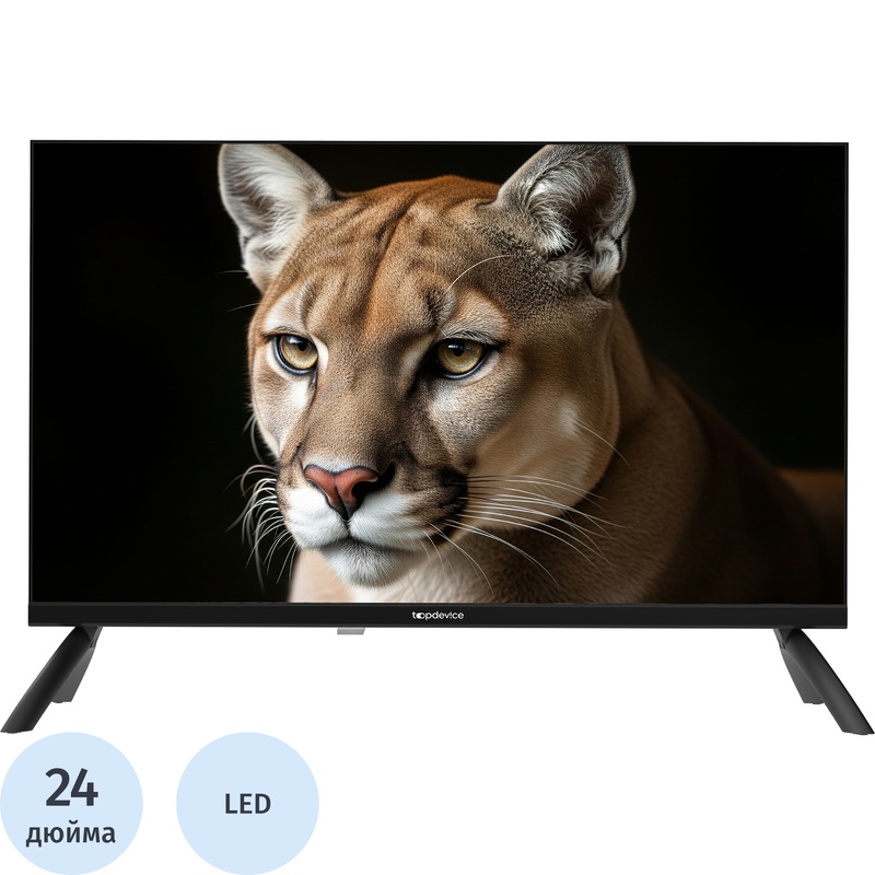 Изображение товара Topdevice TDWC24BH1000IHD — 24" LED, DVB-T2/C/S2, HDMI/USB