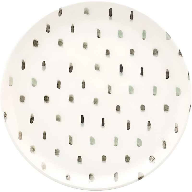 Изображение товара Тарелка обеденная Oxford Flat Shape Samambaia керамика 20 см белая/серая