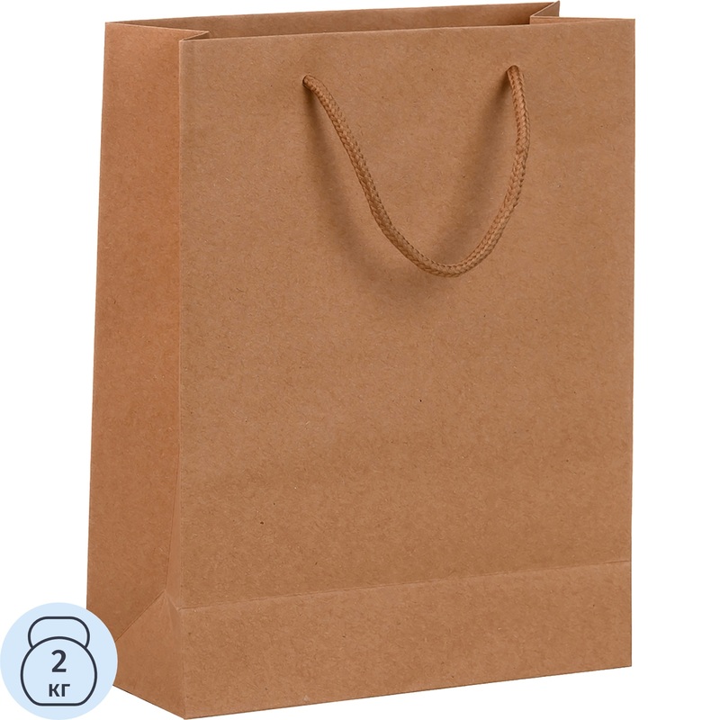 Изображение товара Подарочный пакет Mc Basir Крафт 24x19x8 см универсальный