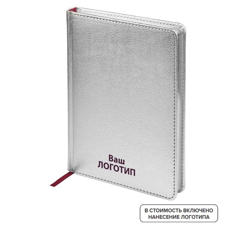 Изображение товара Недатированный ежедневник Bruno Visconti Sidney Nebraska А5 искусственная кожа серебристый