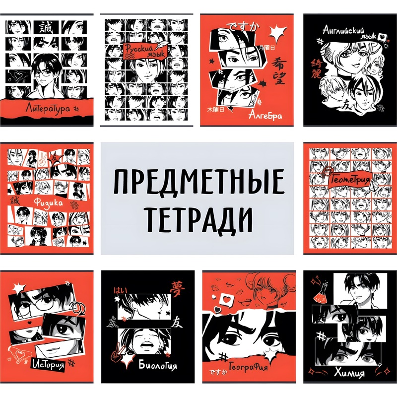 Изображение товара Тетрадь предметная Комус Класс Аниме А5 48 листов с рисунком комбинированная, TWIN лак (10 штук в упаковке)