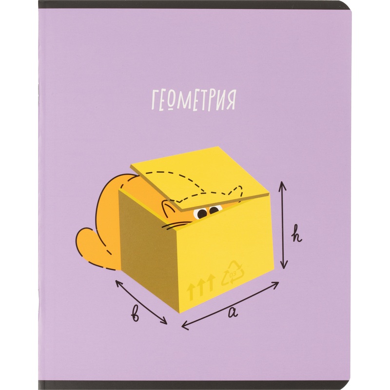 Изображение товара Тетрадь предметная по геометрии Комус Класс Котики А5 48 листов в клетку, матовая ламинация, ВД-лак