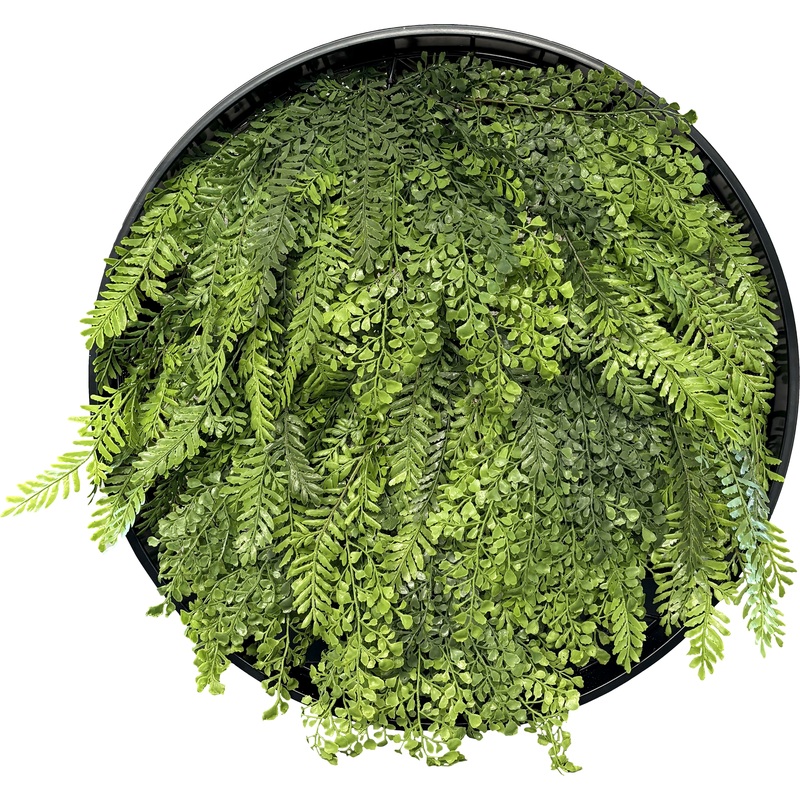 Изображение товара Композиция Сетка круглая 4 (d 600 мм) APC-20020/1