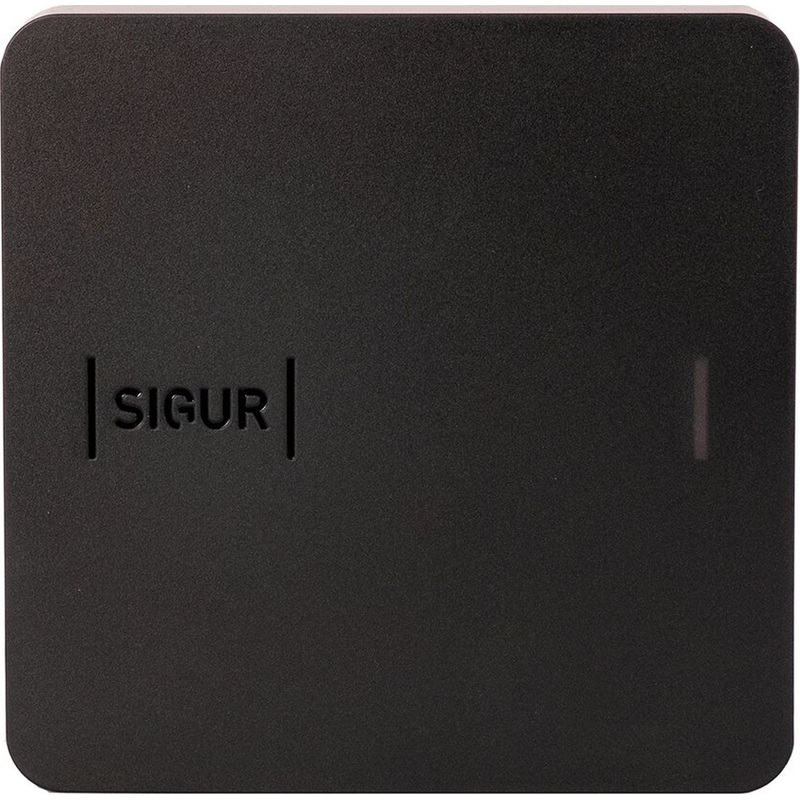 Изображение товара Считыватель Sigur MR100 Lite