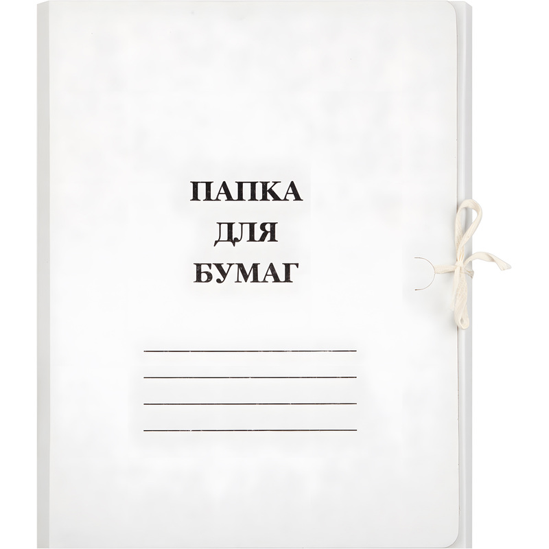 Изображение товара Папка для бумаг с завязками (мелованный картон 380 г/кв.м)