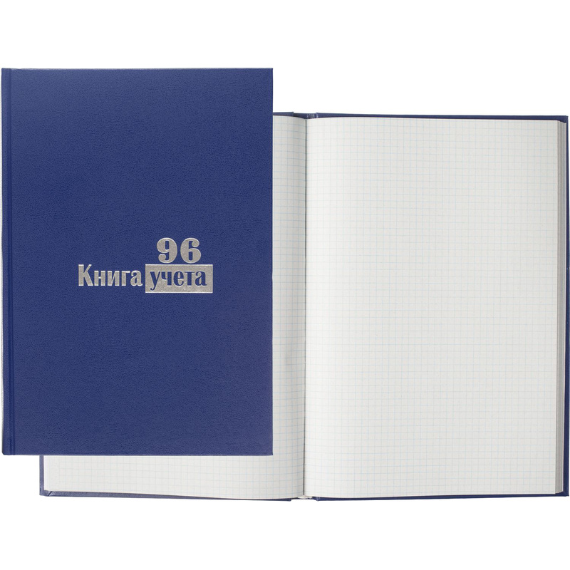 Изображение товара Книга учета 96 листов А4 в клетку блок типографская бумага Выбор есть (обложка из бумвинила)