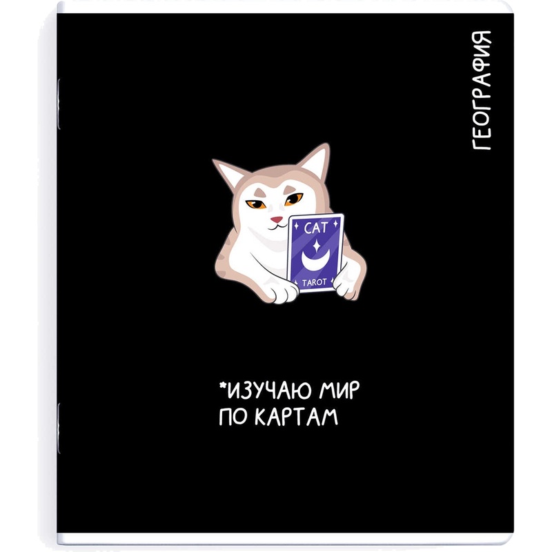 Изображение товара Тетрадь предметная по географии Феникс+ Коты мемы А5+ 48 листов в клетку TWIN лак