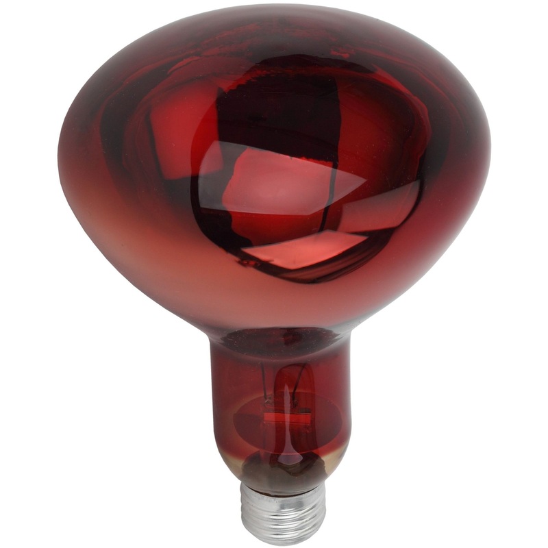 Изображение товара Лампа инфракрасная Эра ИКЗК 220-250 R127 для обогрева животных 250 Вт (Б0055442)