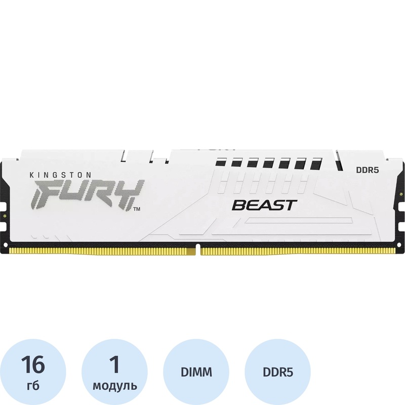 Изображение товара Модуль памяти Kingston DDR5 16ГБ 5.6 ГГц с радиатором для геймеров Изображение товара Модуль памяти Kingston DDR5 16ГБ 5.6 ГГц с радиатором для геймеров