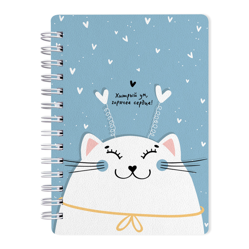 Изображение товара Блокнот Be Smart Mur-Mur А6 80 листов в клетку мягкая обложка голубой