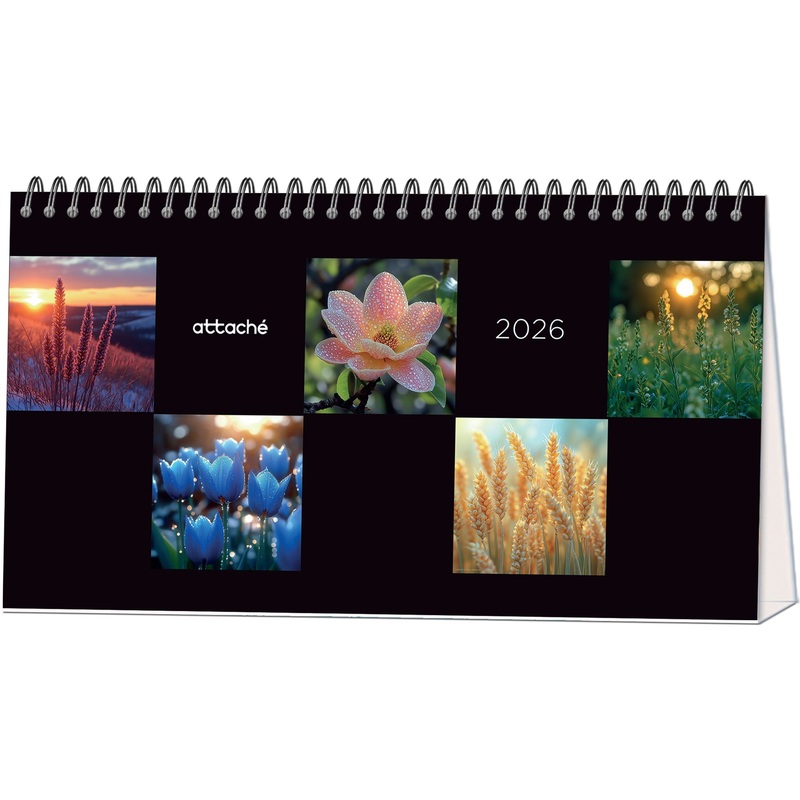 Изображение товара Настольный календарь домик 2026 Застывший момент 24x13 см